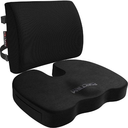 best back support cushion