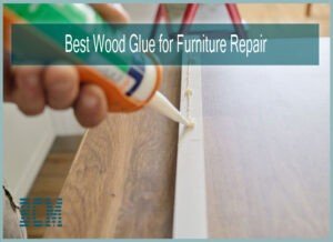 Best Wood Glue for Furniture Repair
