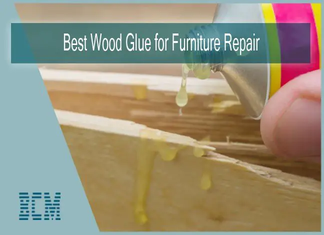 Best Wood Glue for Furniture Repair