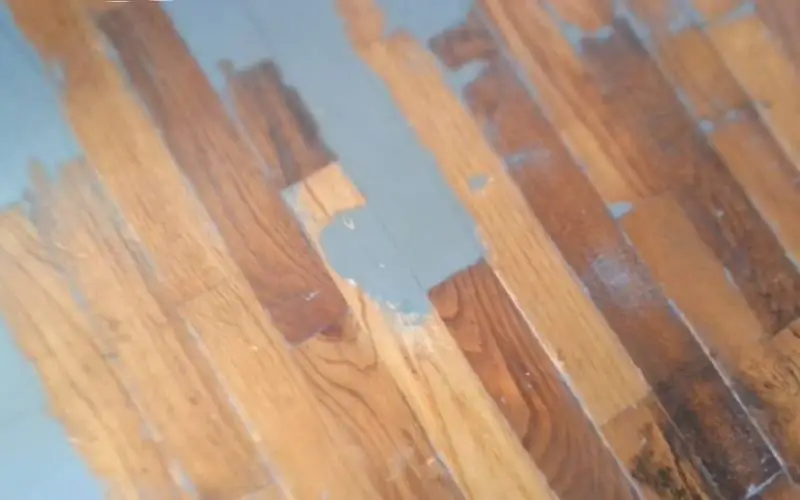 how to remove paint from painted hardwood floors