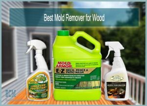Best Mold Remover for Wood