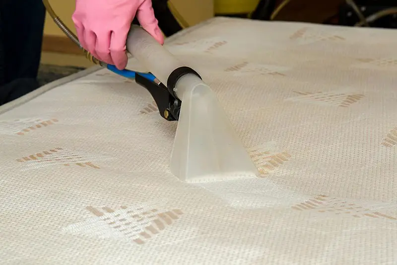 Mattress or bed chemical cleaning with steam cleaner