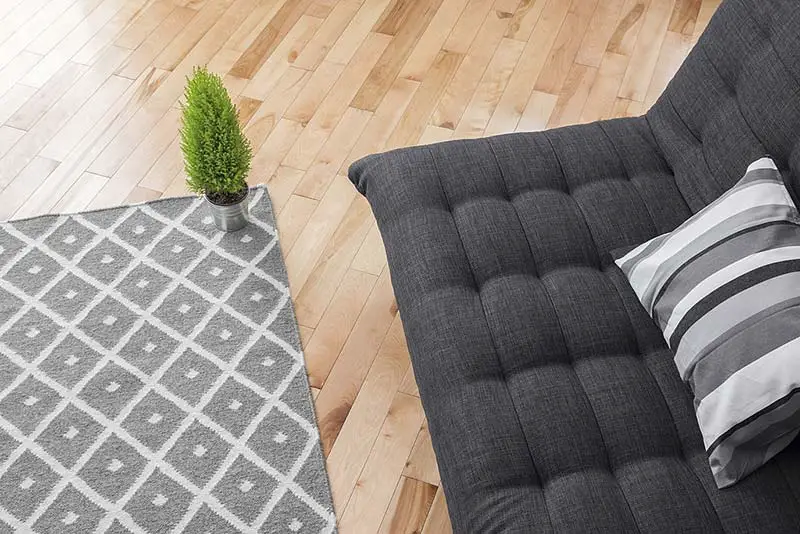 Non-Slip Area Rugs for Hardwood Floors