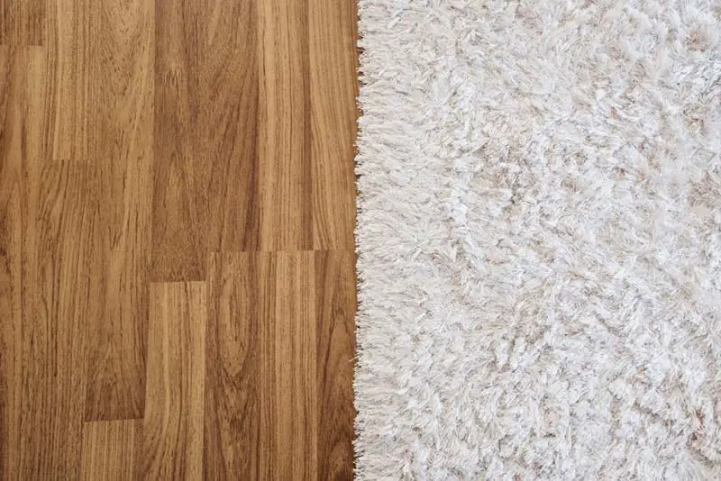 Non Slip Rugs for Hardwood Floors